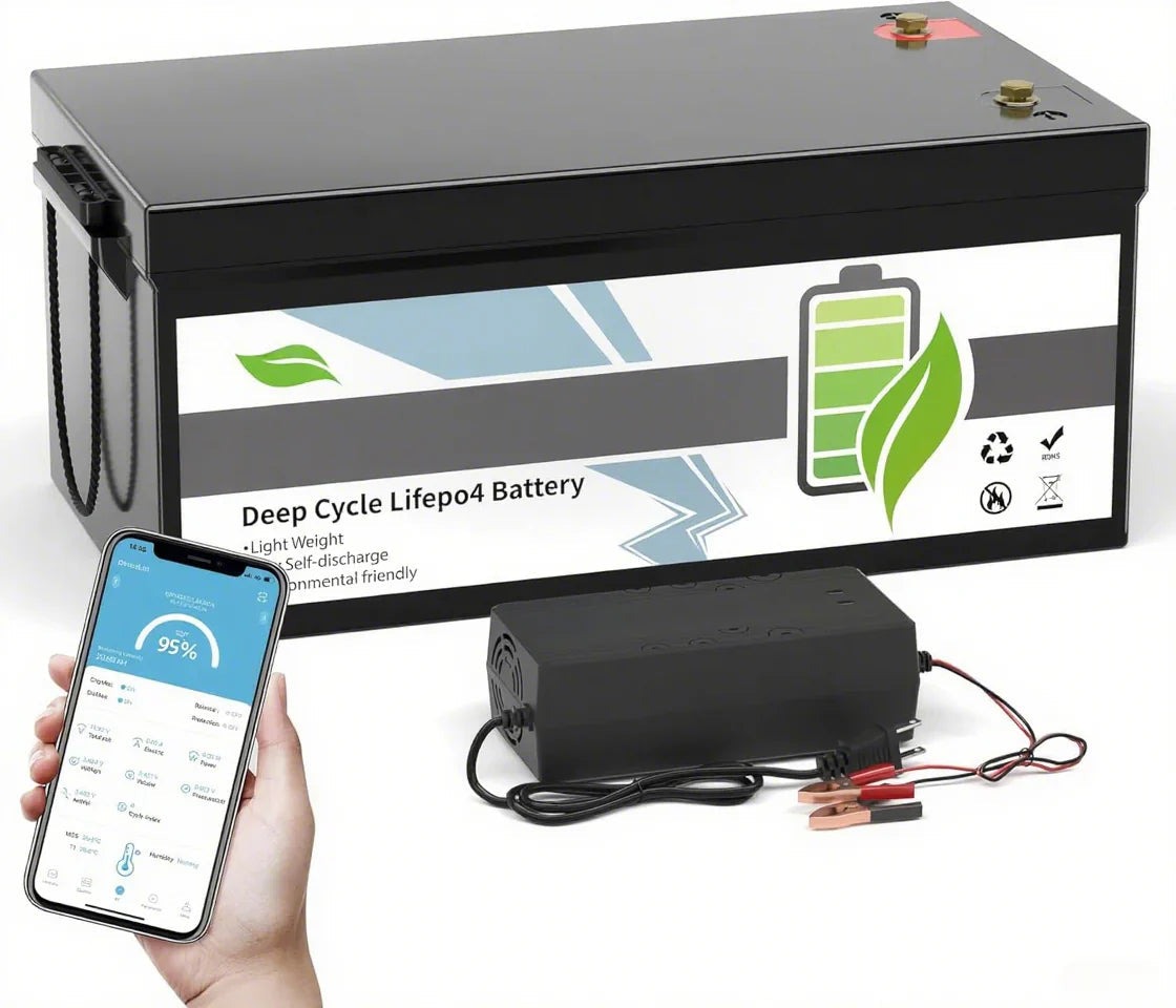 12V 100Ah LiFePO4 Deep Cycle Battery, Group 31, 100A BMS