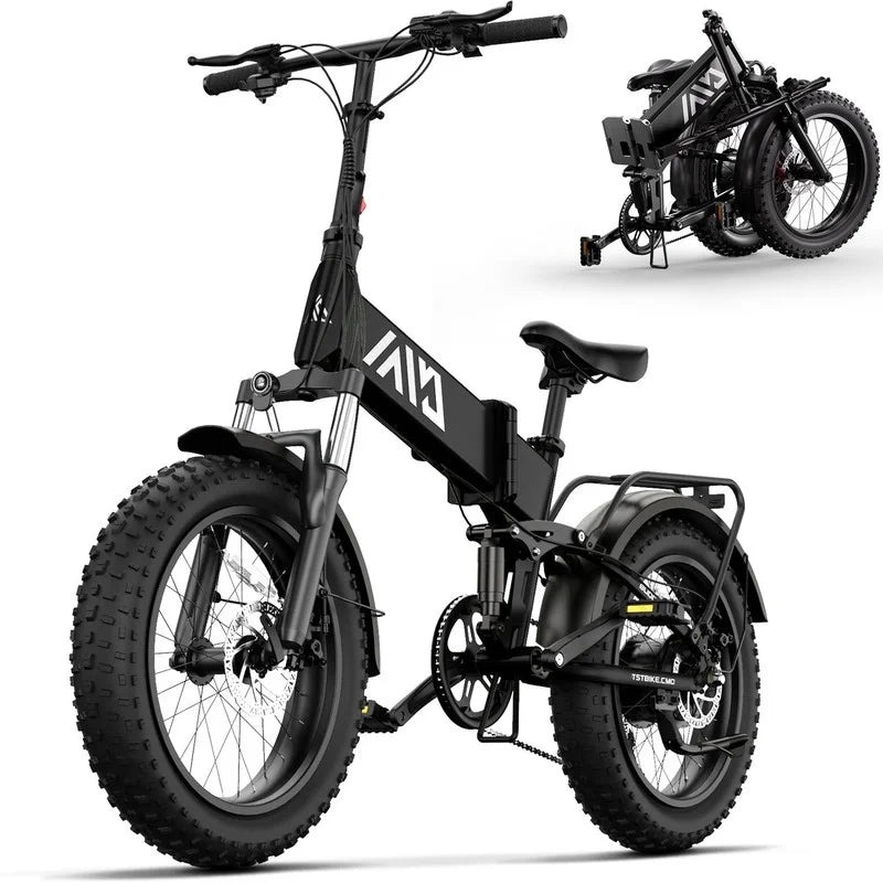 TST Foldable Electric Bike, 20in 4.0 Fat Tire, 48V 13Ah, 750W, Black - Buddy Pro