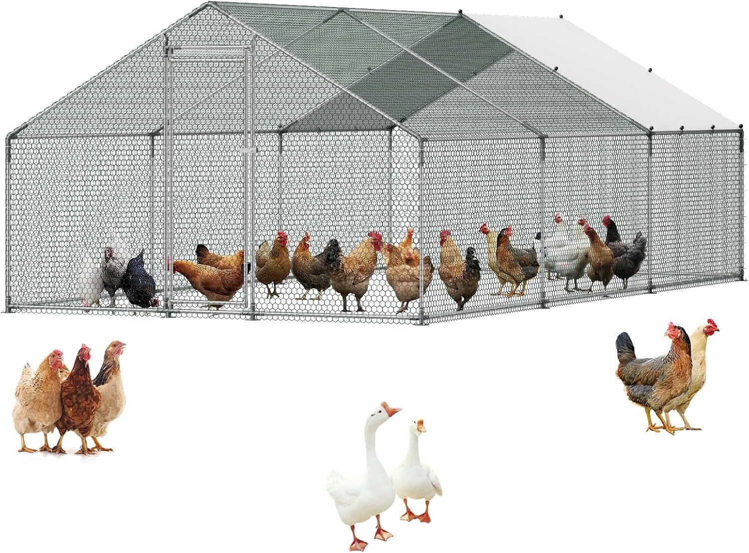 VEVOR Walk-In Metal Chicken Coop With Cover, 19.7 x 9.8 x 6.5 ft, Spire Roof And Security Lock
