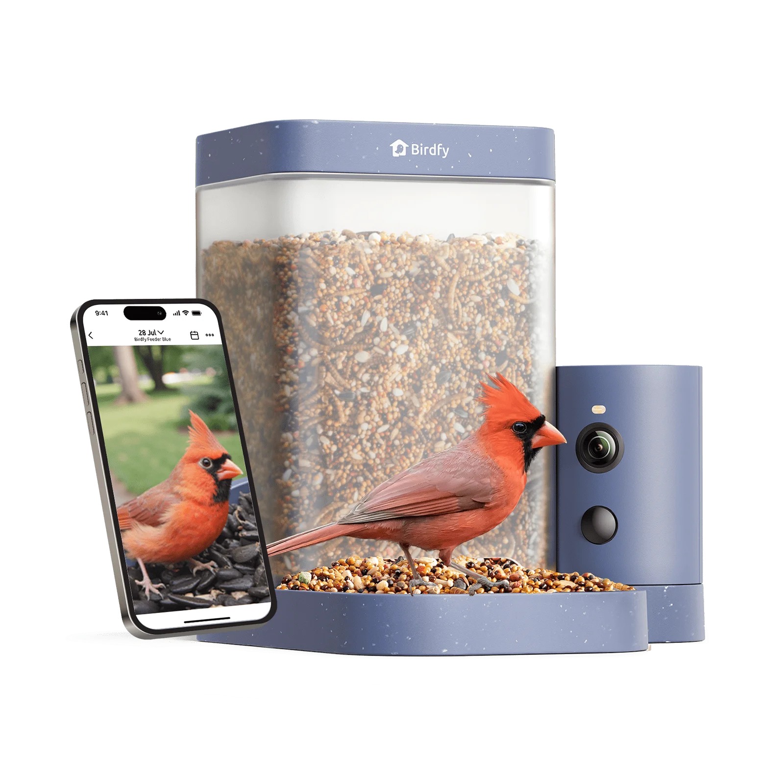 Birdfy Smart Bird Feeder With Camera, 1080P HD Video, 60FPS - Rookie