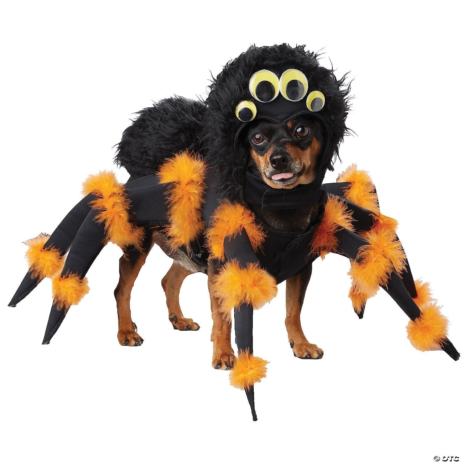 Morris Costumes Spider Pup Dog Costume