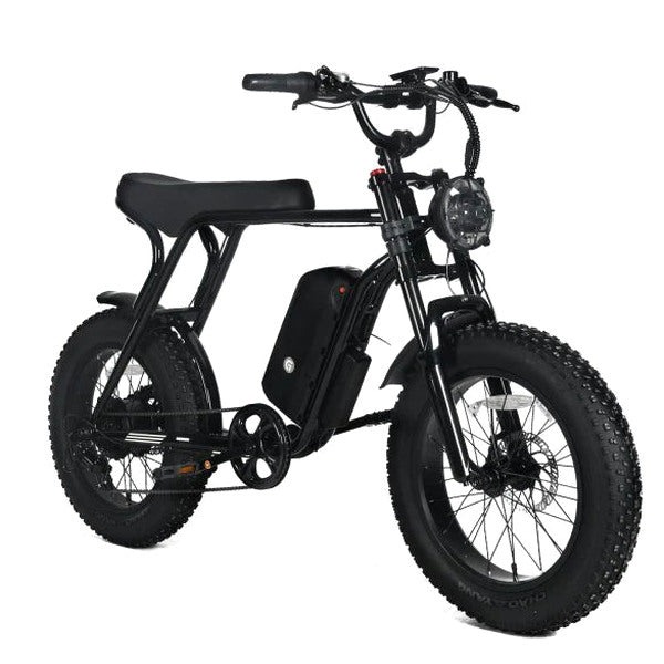 Electric Mountain Bike For Adults, 20 x 4.0 Fat Tires, 1000W Motor, 48V 20Ah Battery, Black - G-M1Sp